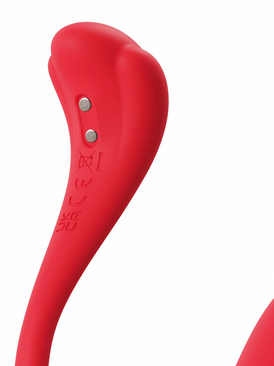 Phoenix Neo 2 Interactive App Controlled Vibrator