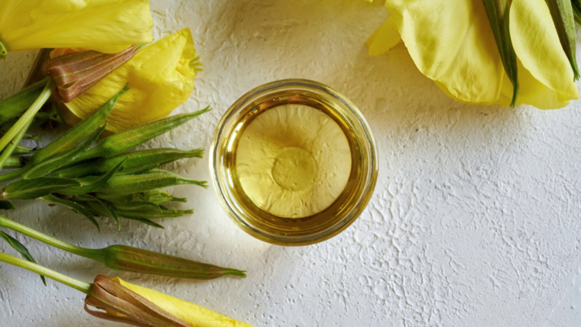 12 best sex books that are worth the read