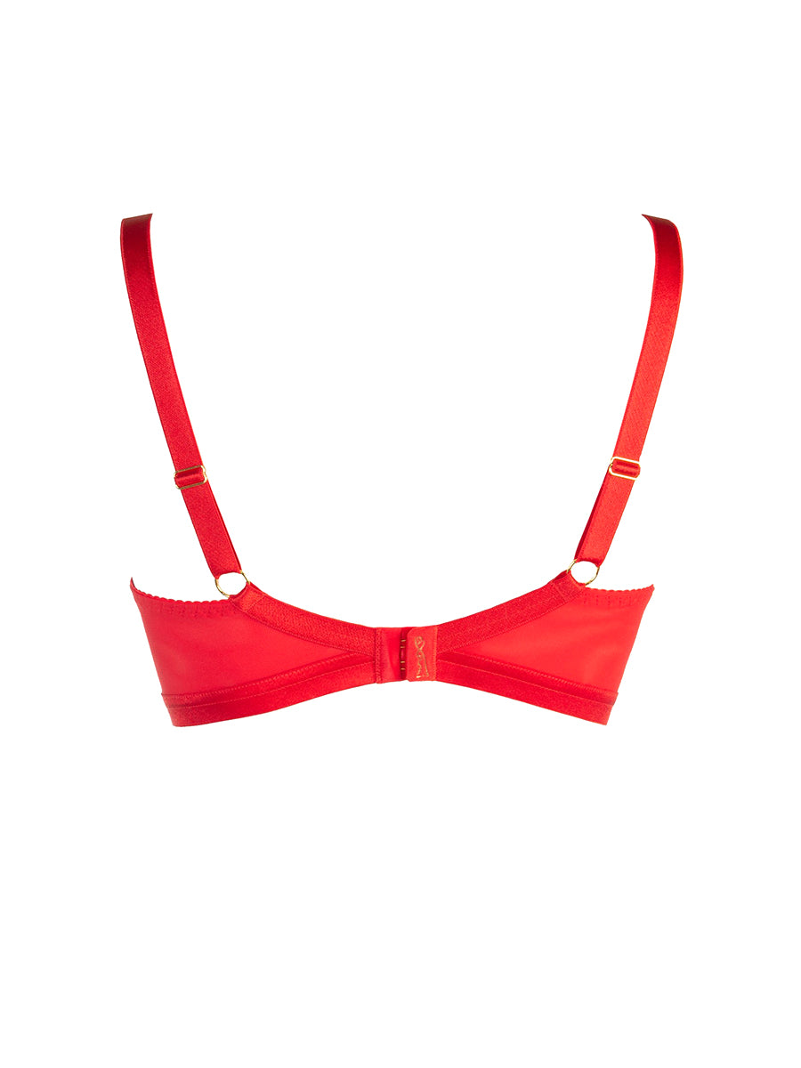 Axami Seductive Diva V-10721 vibrant red lace bra with light tulle cups and gold hooks