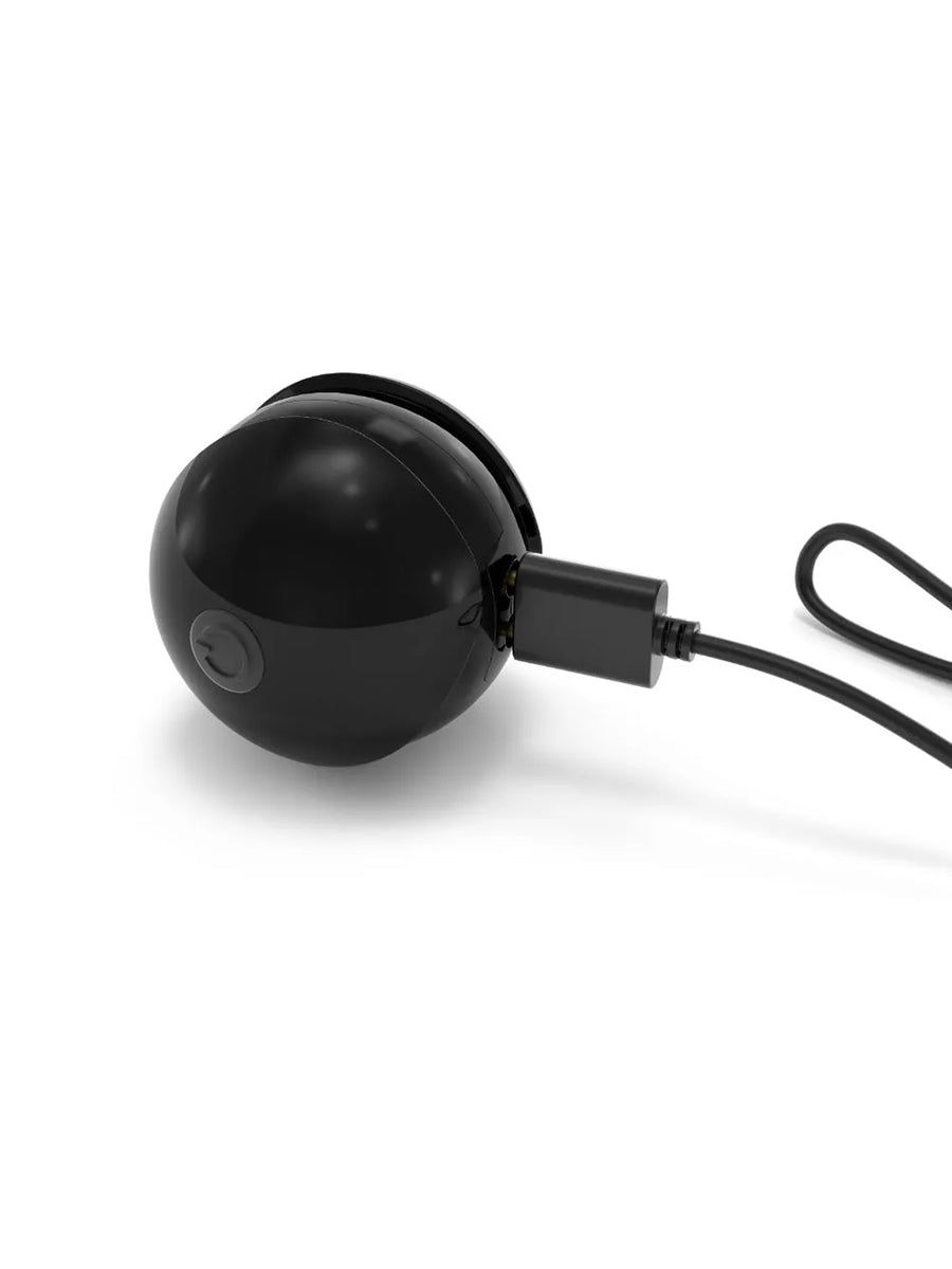 Geisha Balls Training Balls Kit