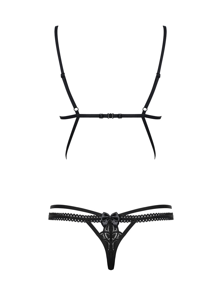 Wonderia Amazing Teddy