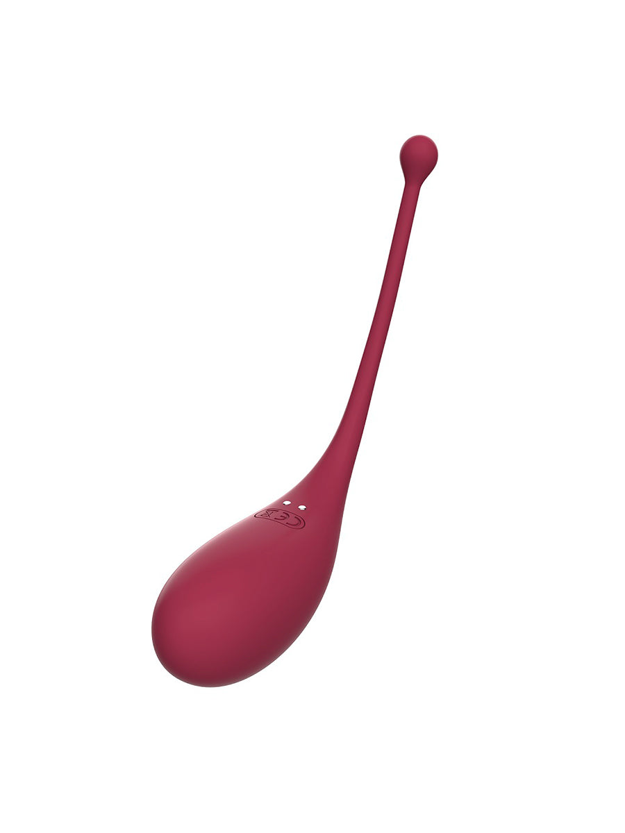 Inspiration Clitoral Suction Stimulator and Vibrating Egg